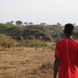 3 day cycling tanzania 3