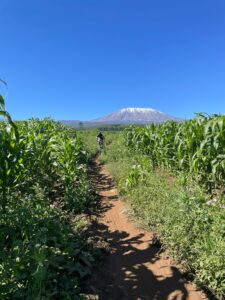 6 Day Cycling Tanzania