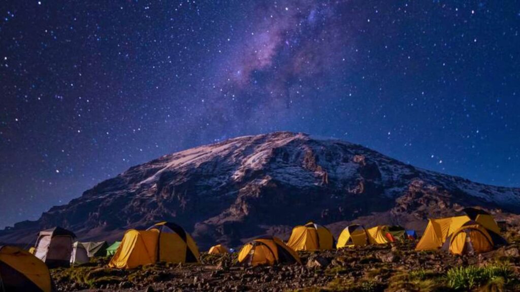 MOUNT KILIMANJARO PARK DAY TRIP 1