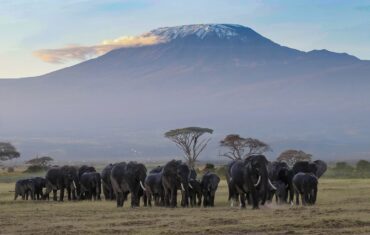 Northern Circuit route