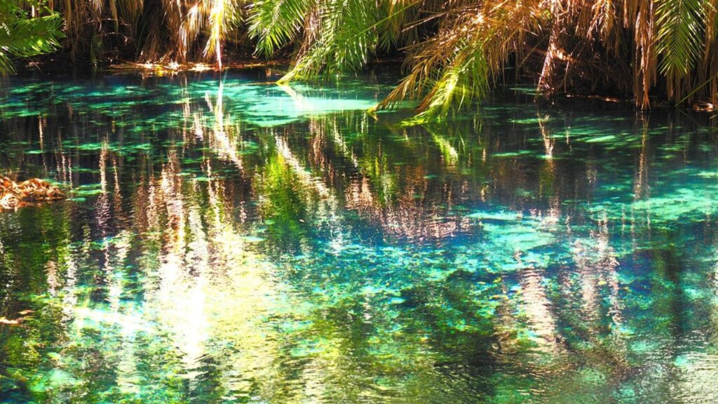 kikuletwa hotsprings 1