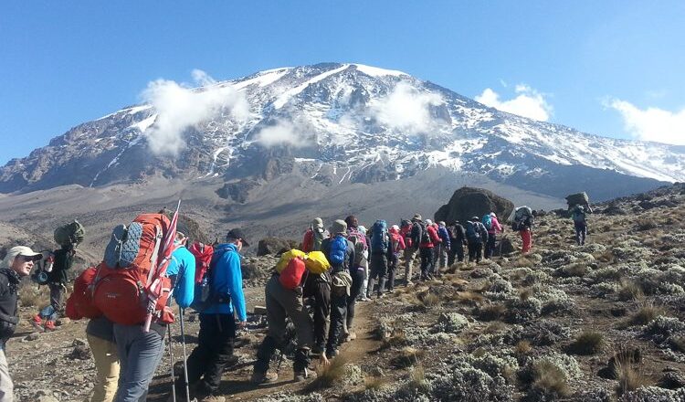 trekking mount Kilimanjaro