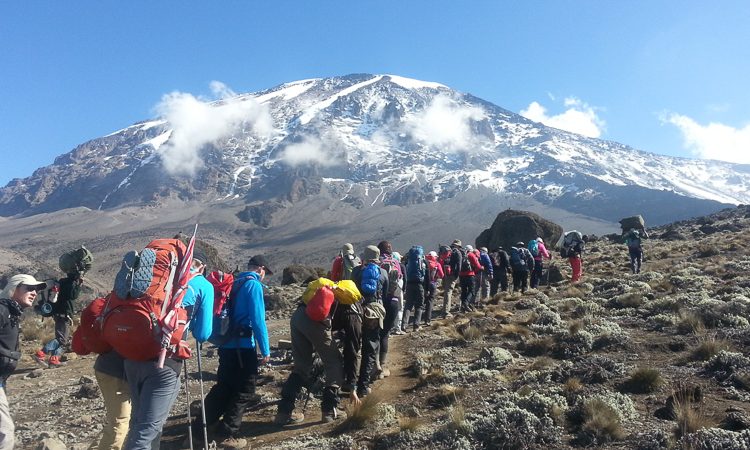 trekking mount Kilimanjaro
