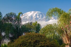 "6 Days on Marangu Route