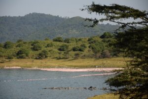 tanzania